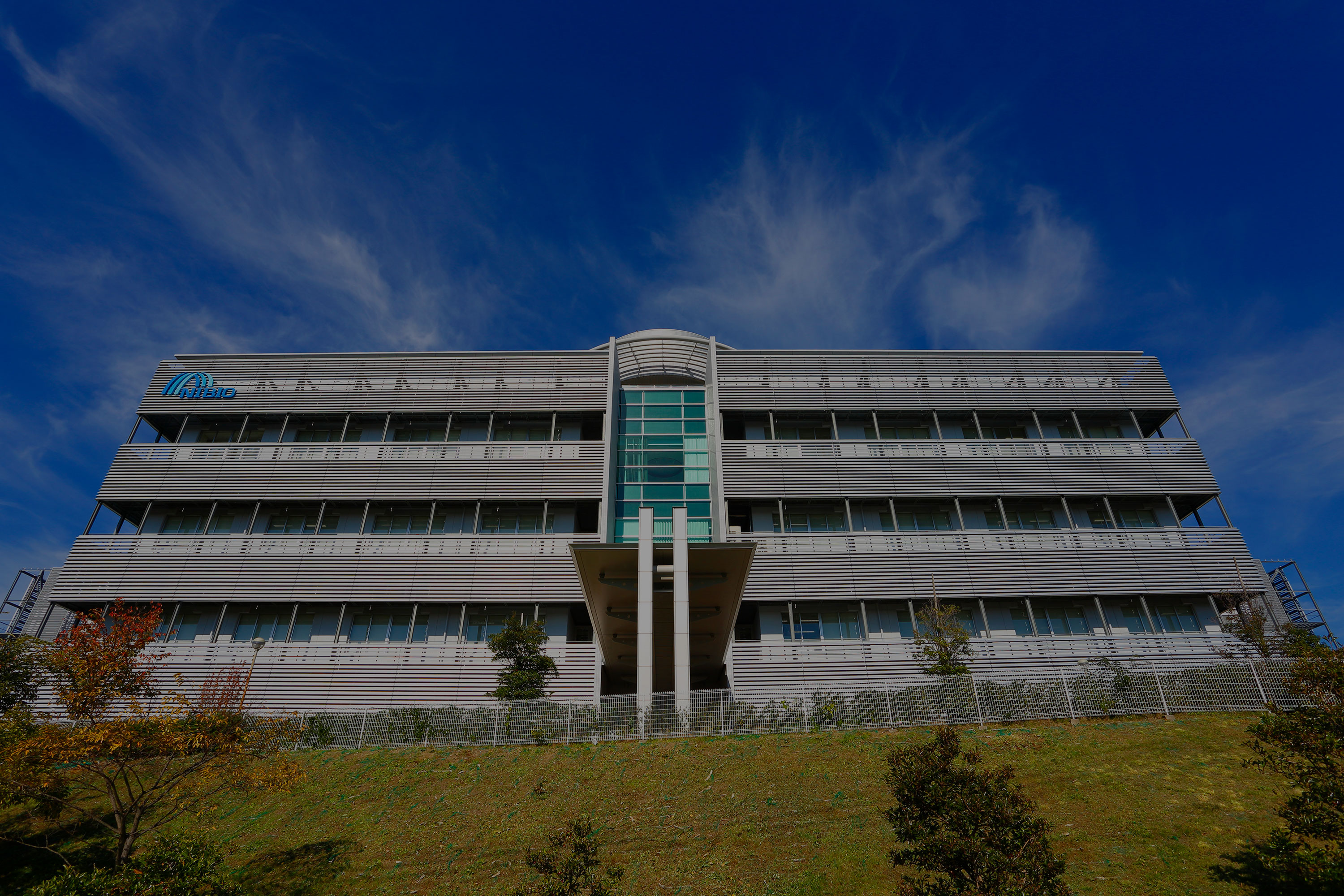 国立研究開発法人 医薬基盤・健康・栄養研究所 創薬デザイン研究